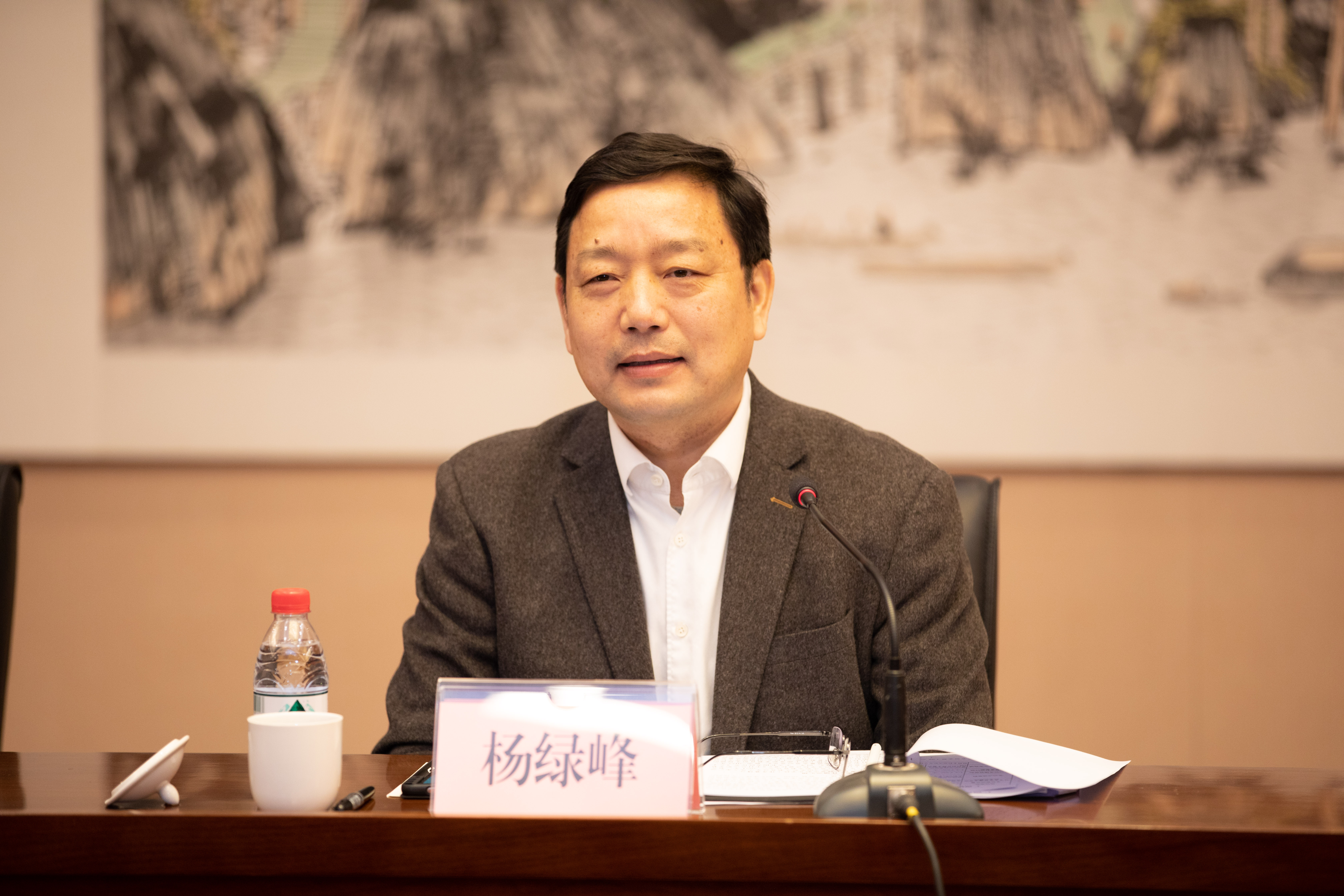 杨绿峰厅长在调研座谈会上讲话