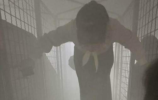 4e614611e3c92a5bc6c5a7bfd63243ec